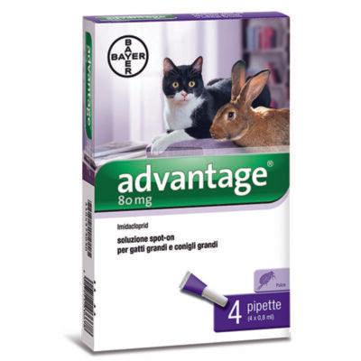 ADVANTAGE 80 (4 pipette) – Antiparassitario per gatti e conigli grandi - Sarda Zootecnica