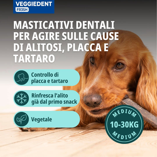 VEGGIEDENT FR3SH MEDIUM 10-30kg ( 15 stick )  - Stick dentali per cani