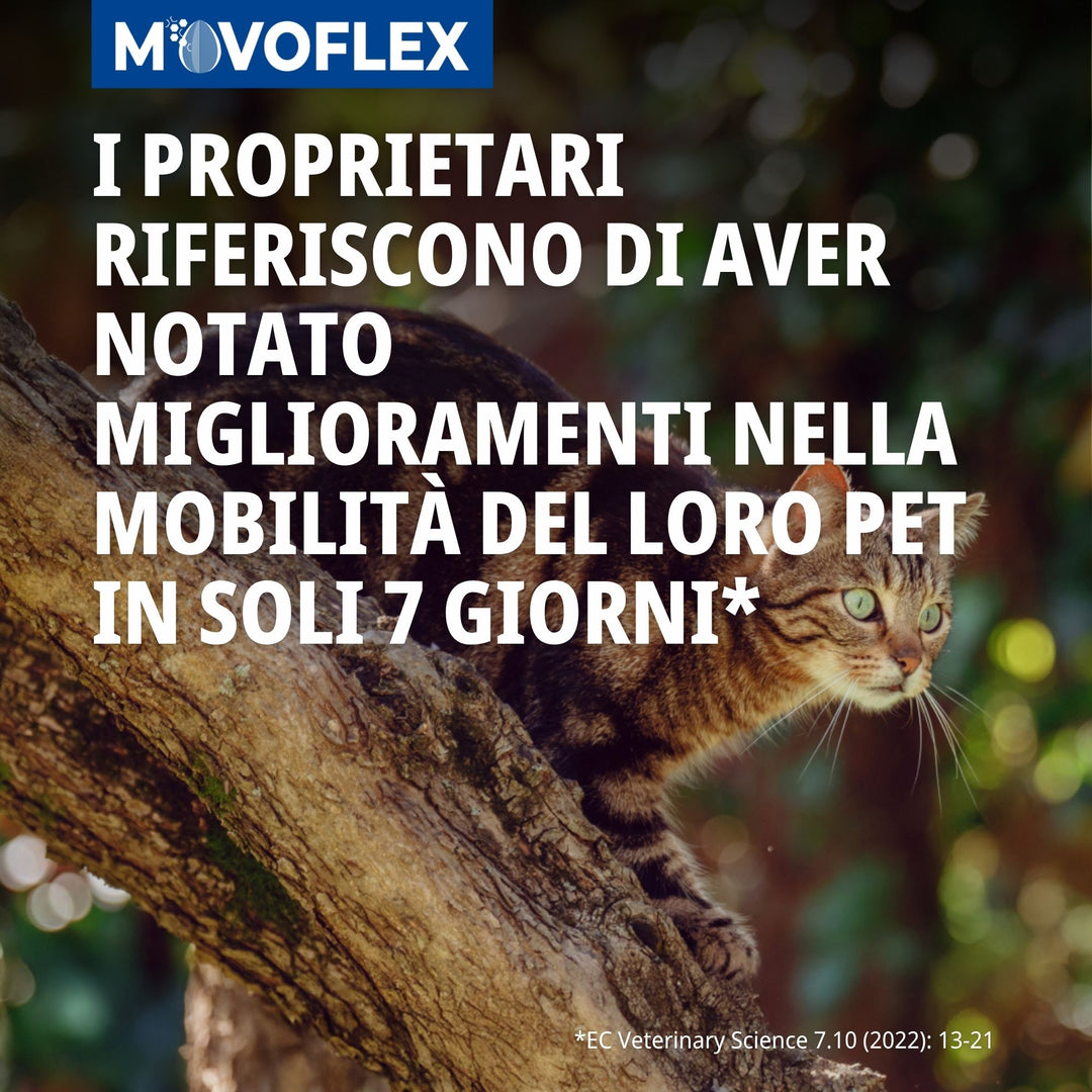 MOVOFLEX GATTO - Integratore Articolare Per Gatti
