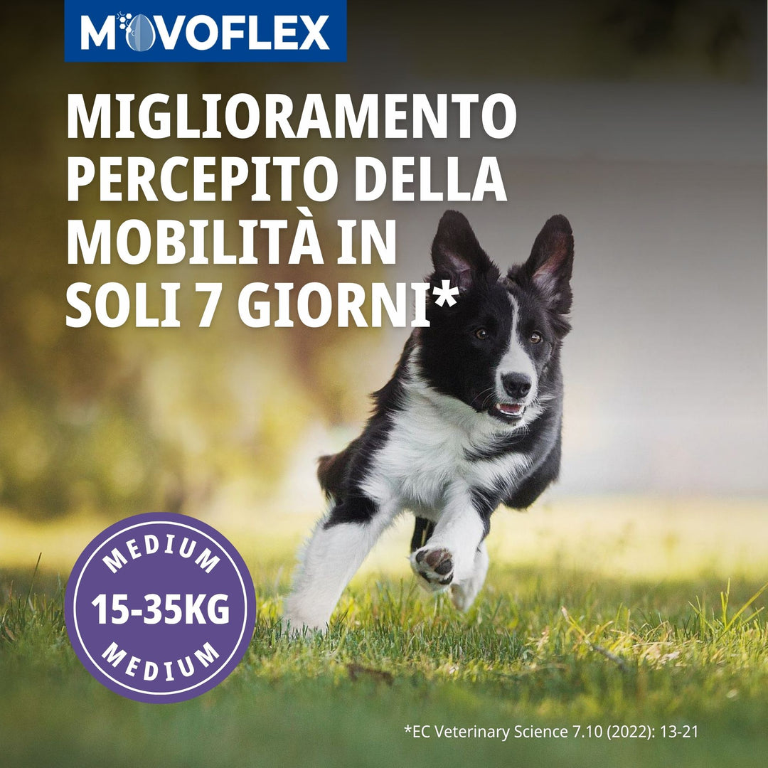MOVOFLEX MEDIUM (15-35kg) 30cpr