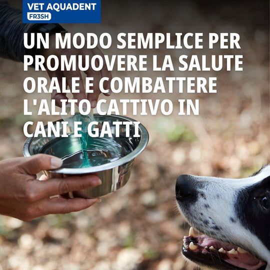 VET AQUADENT FRESH 250 ml- Alito Fresco e Denti Sani