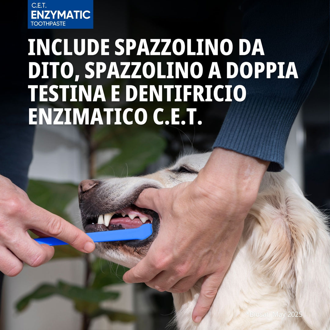 C.E.T. KIT SPAZZOLINO + DENTIFRICIO 70g - Previene l’accumulo di placca e tartaro