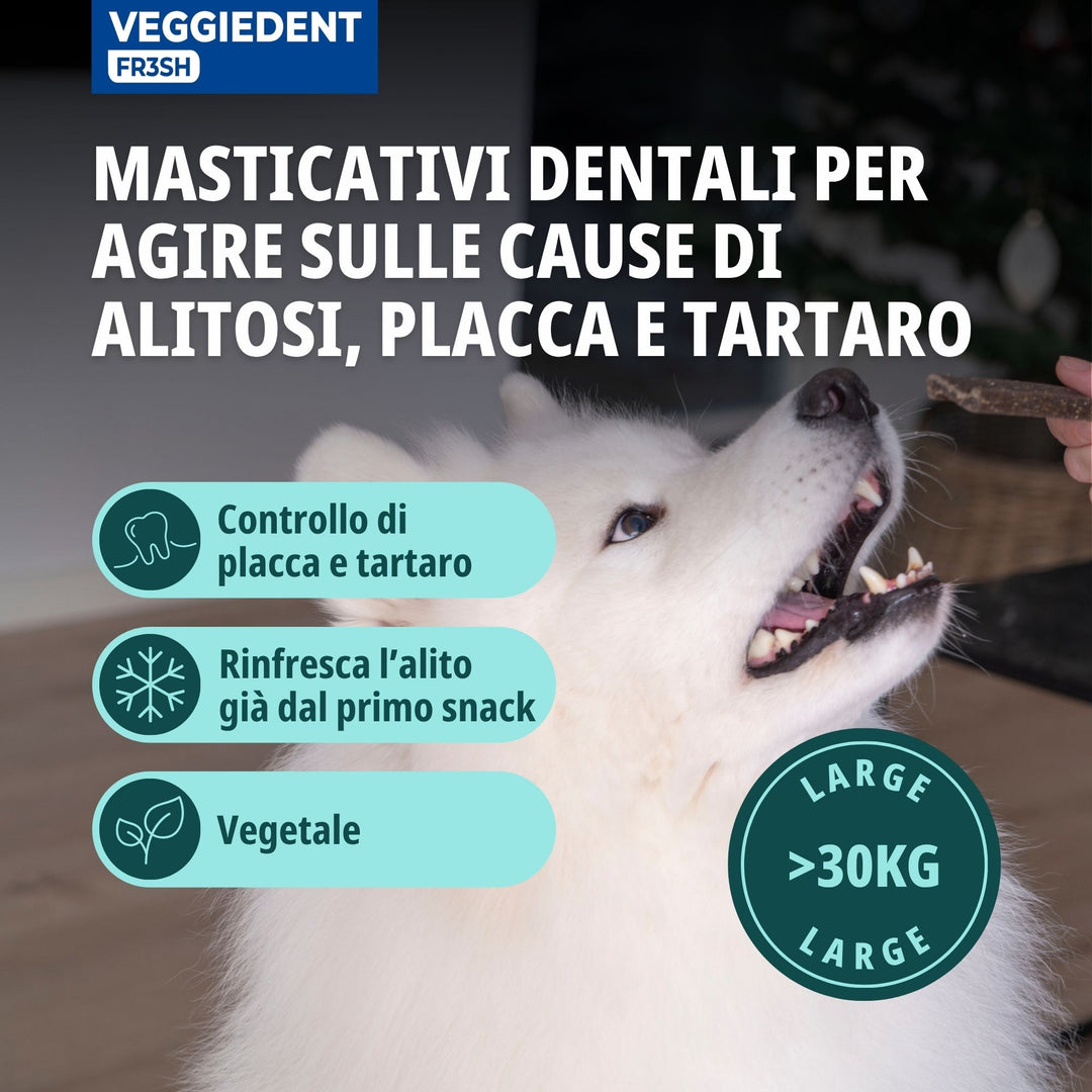 VEGGIEDENT FR3SH LARGE OLTRE 30kg ( 15 stick )  - Stick dentali per cani