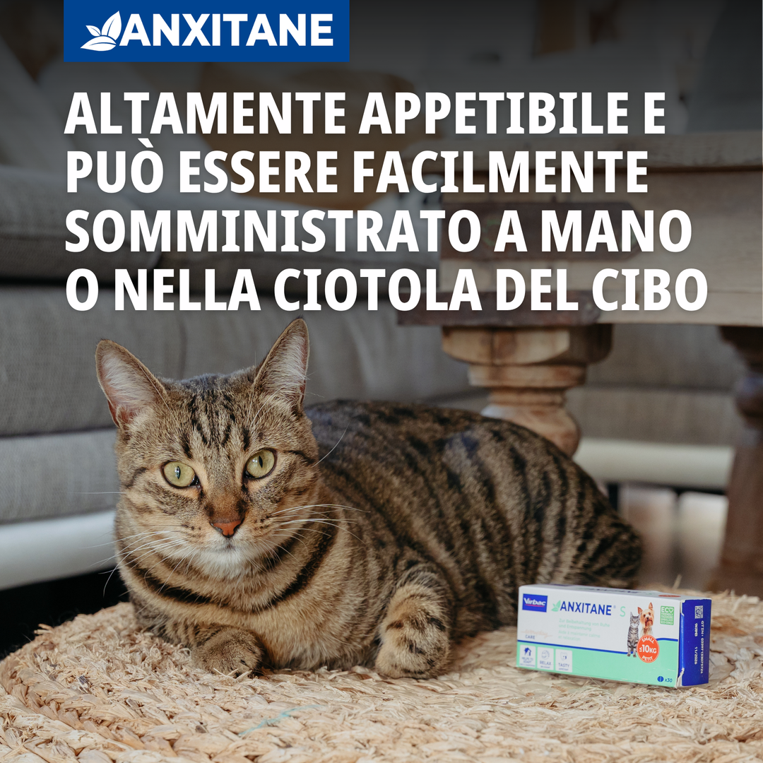 ANXITANE S