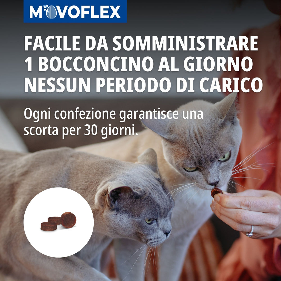MOVOFLEX GATTO - Integratore Articolare Per Gatti