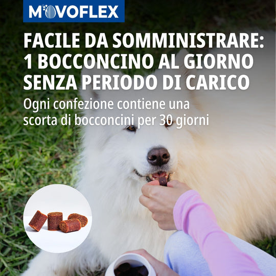 MOVOFLEX LARGE (oltre 35kg) 30cpr