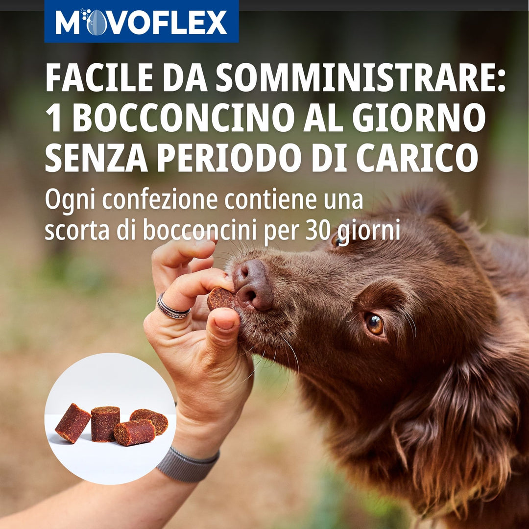 MOVOFLEX MEDIUM (15-35kg) 30cpr