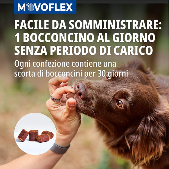 MOVOFLEX MEDIUM (15-35kg) 30cpr