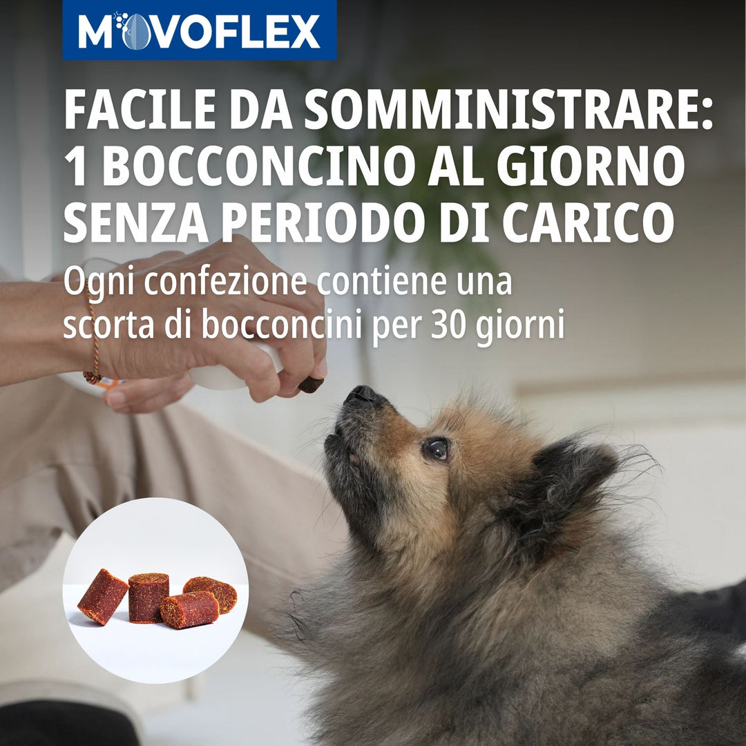 MOVOFLEX SMALL (inferiore 15Kg) 30cpr