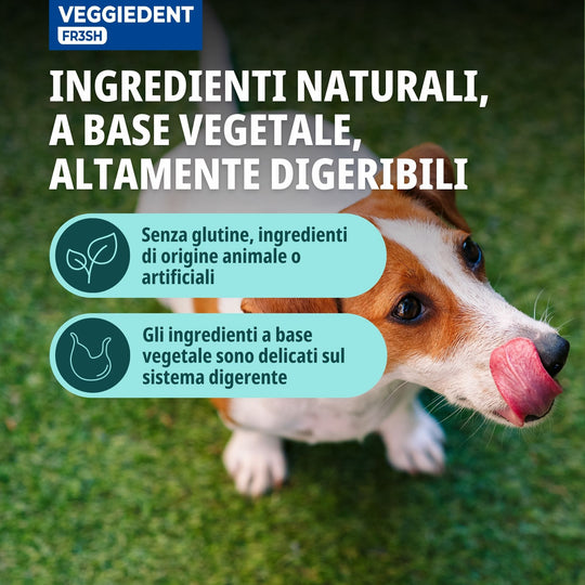 VEGGIEDENT FR3SH S 5kg - 10kg (15 stick) - Stick dentali per cani