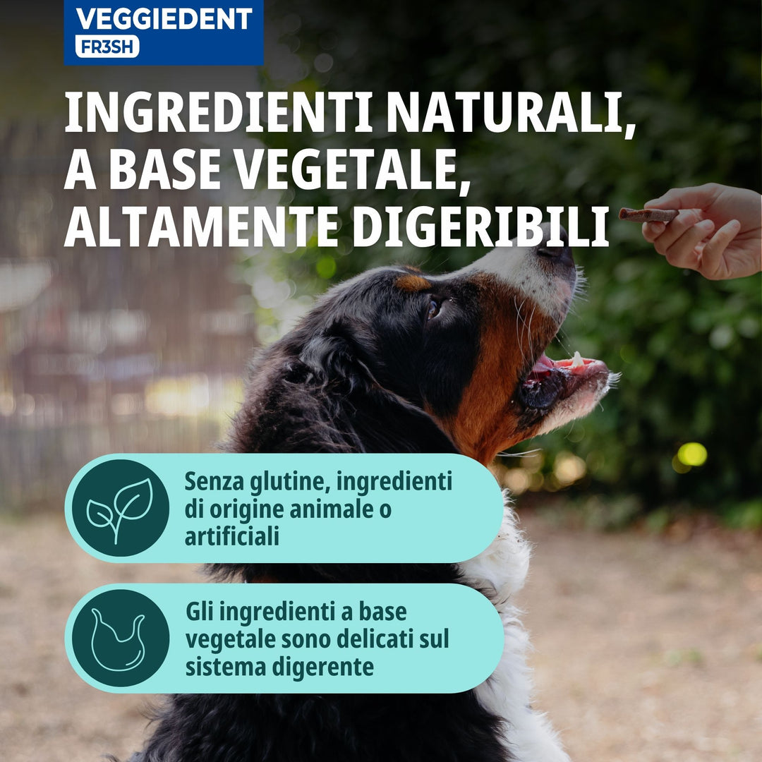 VEGGIEDENT FR3SH LARGE OLTRE 30kg ( 15 stick )  - Stick dentali per cani