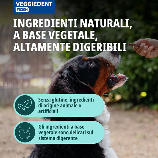 VEGGIEDENT FR3SH LARGE OLTRE 30kg ( 15 stick )  - Stick dentali per cani