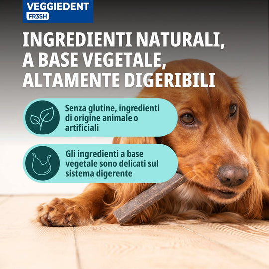 VEGGIEDENT FR3SH MEDIUM 10-30kg ( 15 stick )  - Stick dentali per cani