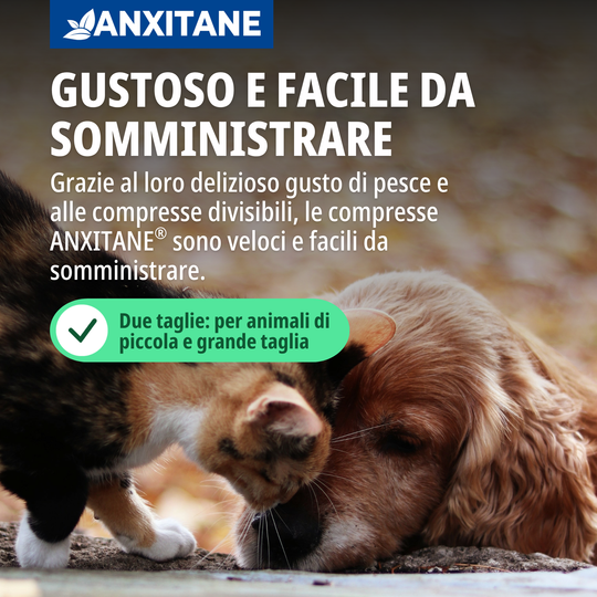 ANXITANE S