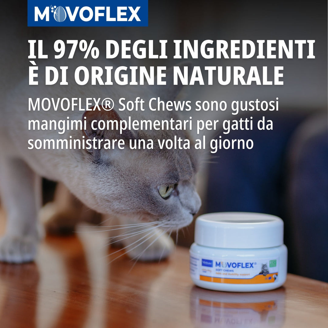 MOVOFLEX GATTO - Integratore Articolare Per Gatti