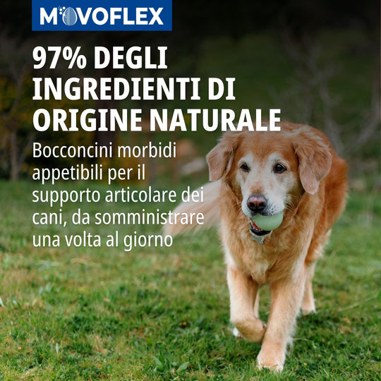 MOVOFLEX LARGE (oltre 35kg) 30cpr