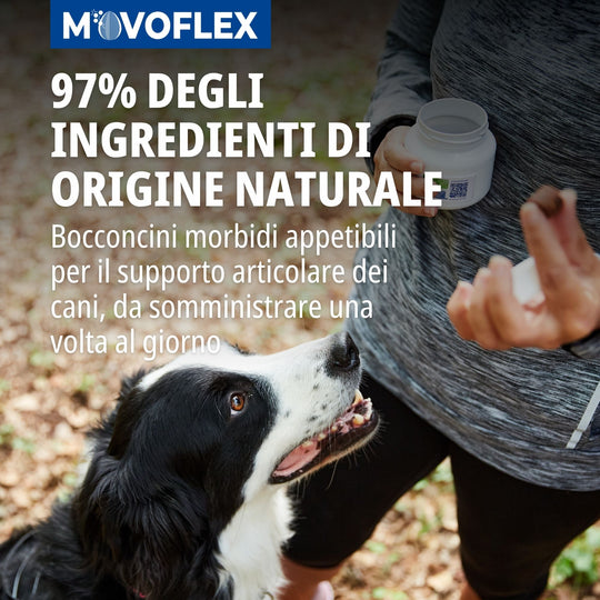MOVOFLEX MEDIUM (15-35kg) 30cpr