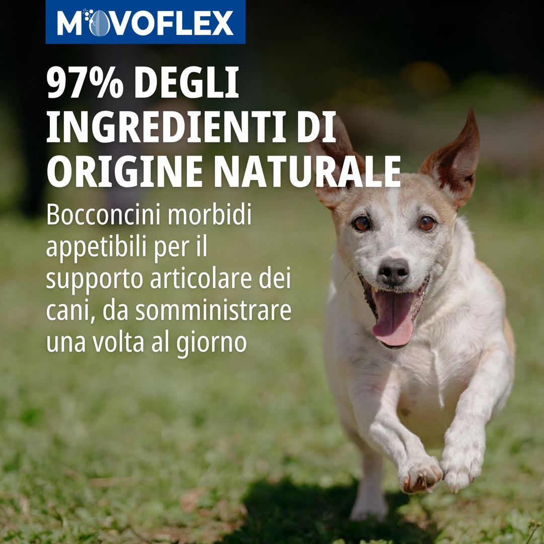 MOVOFLEX SMALL (inferiore 15Kg) 30cpr