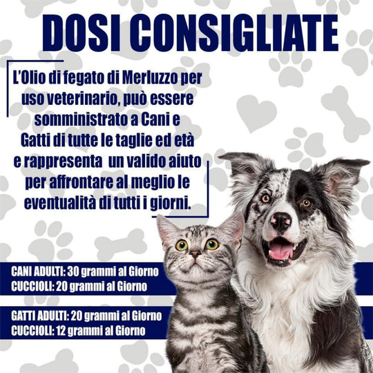 PAERSON OLIO FEGATO MERLUZZO VETERINARIO PURISSIMO 1l