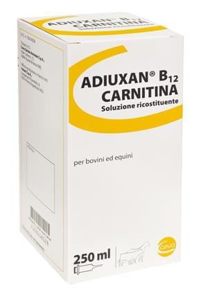 ADIUXAN B12 CARNITINA 250 ml - Salute per Bovini ed Equini