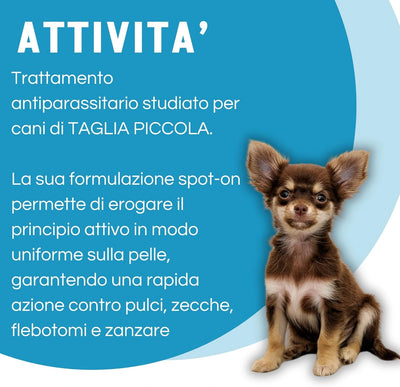 EVER4 SPOT ON CANI 4-10 kg