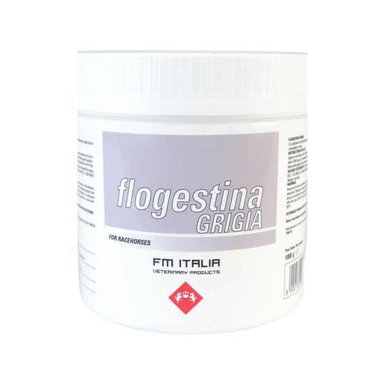 FLOGESTINA GRIGIA 1Kg - Pasta Minerale Per Arti Del Cavallo