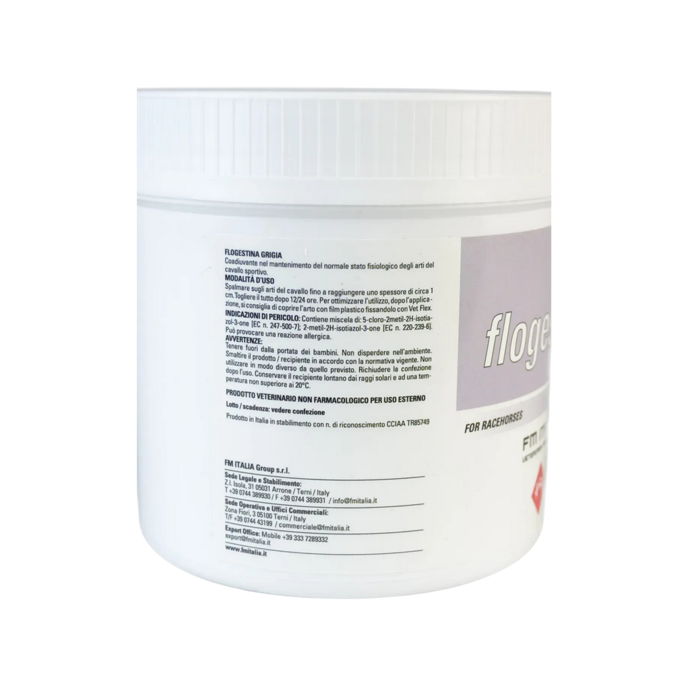 FLOGESTINA GRIGIA 1Kg - Pasta Minerale Per Arti Del Cavallo