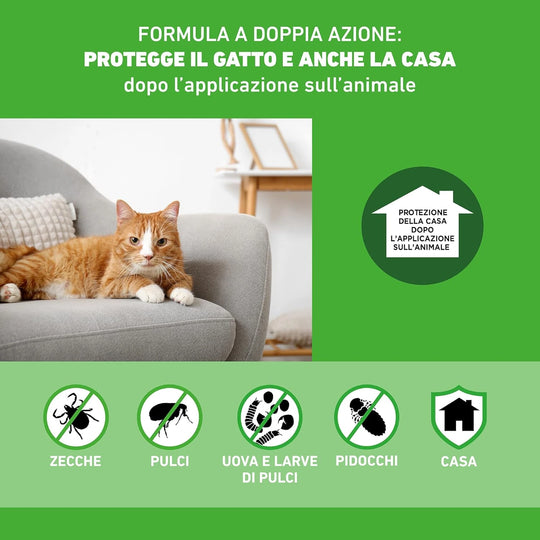 FRONTLINE COMBO GATTI 12 Pipette - Protezione Completa