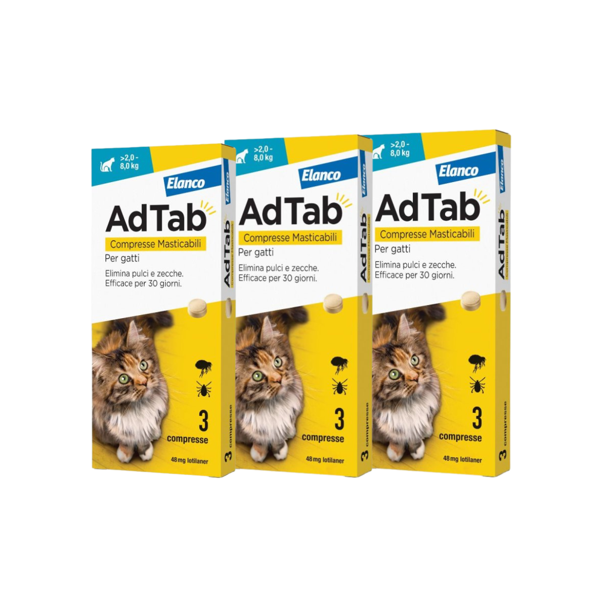 ADTAB GATTO 3x2 - Pacchetto convenienza