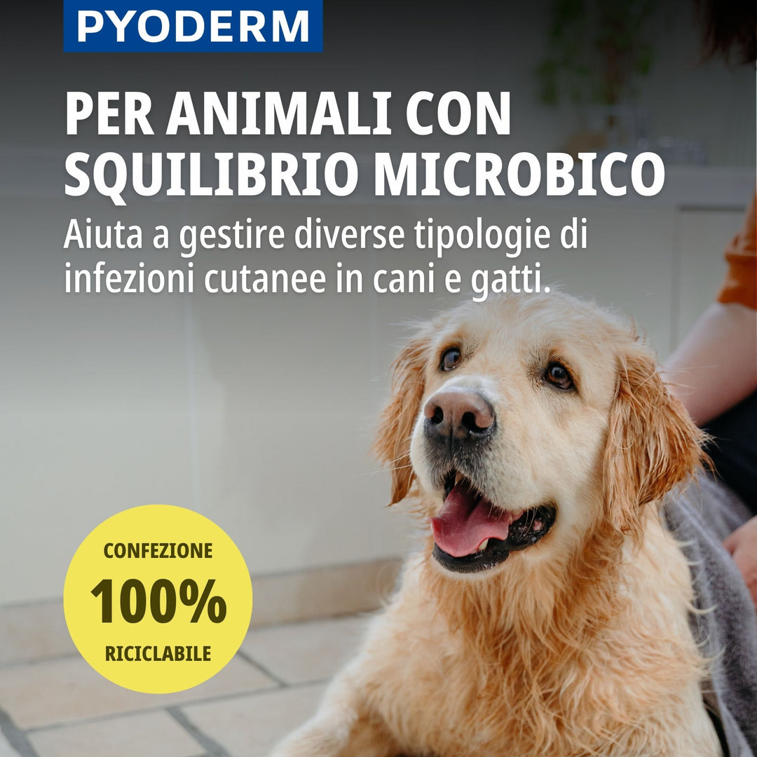 Pyoderm Shampoo Dermatologico 200ml -  Supporto per le infezioni cutanee nel cane e nel gatto