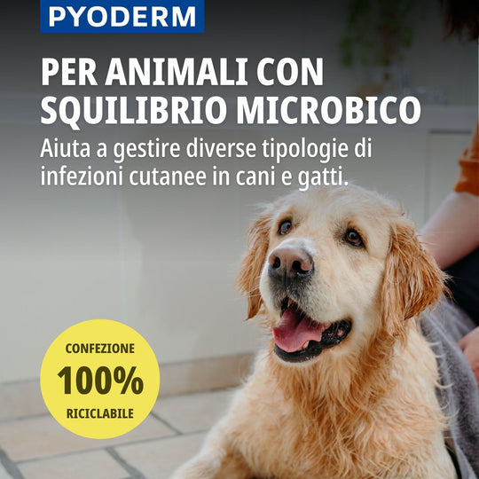 Pyoderm Shampoo Dermatologico 200ml -  Supporto per le infezioni cutanee nel cane e nel gatto