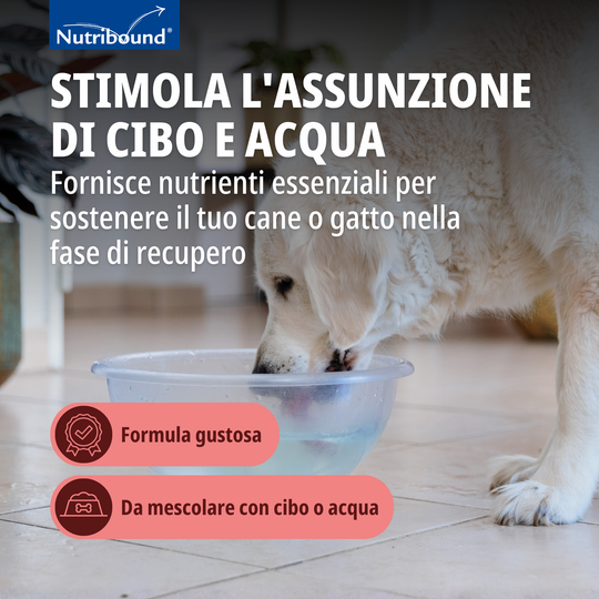 NUTRIBOUND CANE (3 flaconi da 150 ml) – Per il recupero del cane convalescente