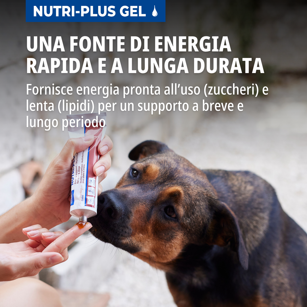NUTRI PLUS GEL 120 gr -  supporto nutrizionale per cani e gatti