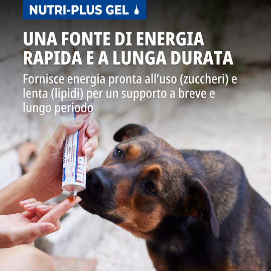 NUTRI PLUS GEL 120 gr -  supporto nutrizionale per cani e gatti
