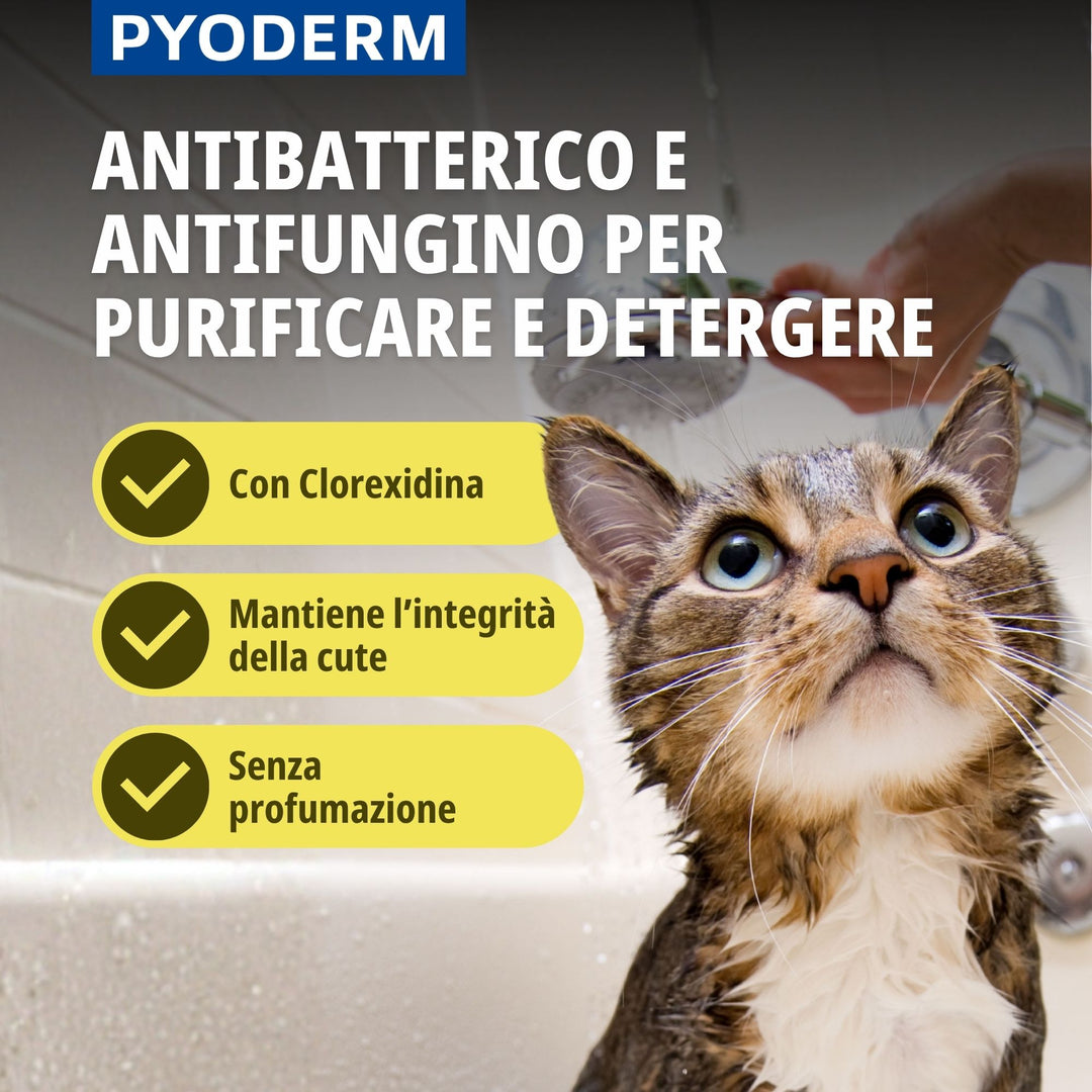 Pyoderm Shampoo Dermatologico 200ml -  Supporto per le infezioni cutanee nel cane e nel gatto