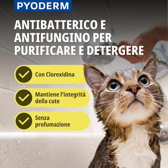 Pyoderm Shampoo Dermatologico 200ml -  Supporto per le infezioni cutanee nel cane e nel gatto