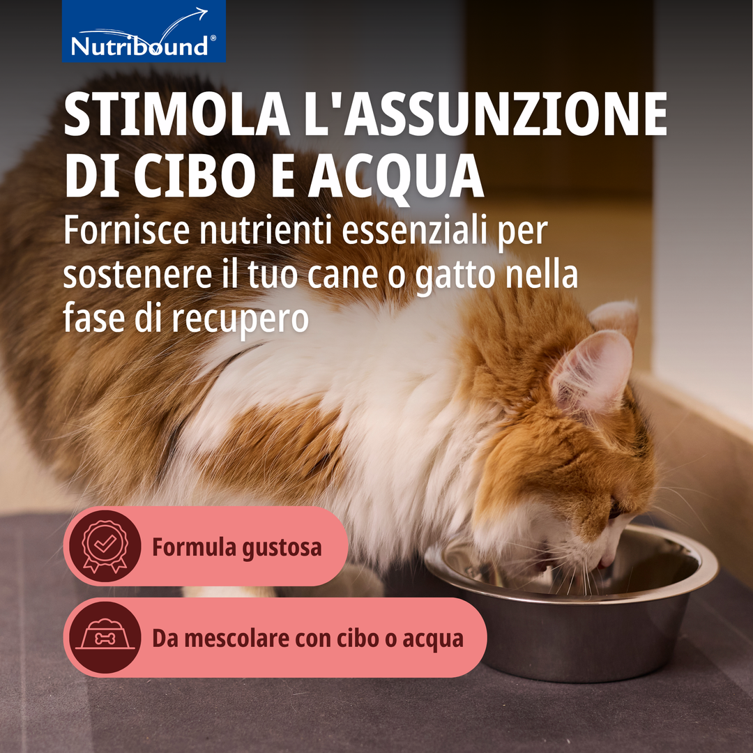 NUTRIBOUND GATTO – Per gatti in stato di convalescenza