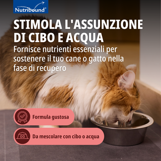 NUTRIBOUND GATTO – Per gatti in stato di convalescenza