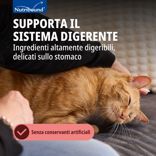 NUTRIBOUND GATTO – Per gatti in stato di convalescenza