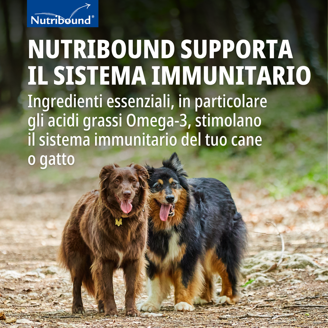 NUTRIBOUND CANE (3 flaconi da 150 ml) – Per il recupero del cane convalescente