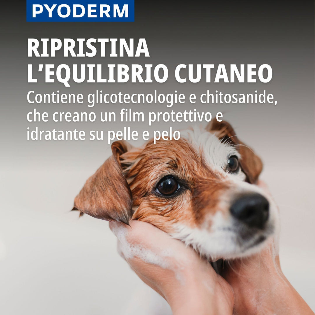 Pyoderm Shampoo Dermatologico 200ml -  Supporto per le infezioni cutanee nel cane e nel gatto