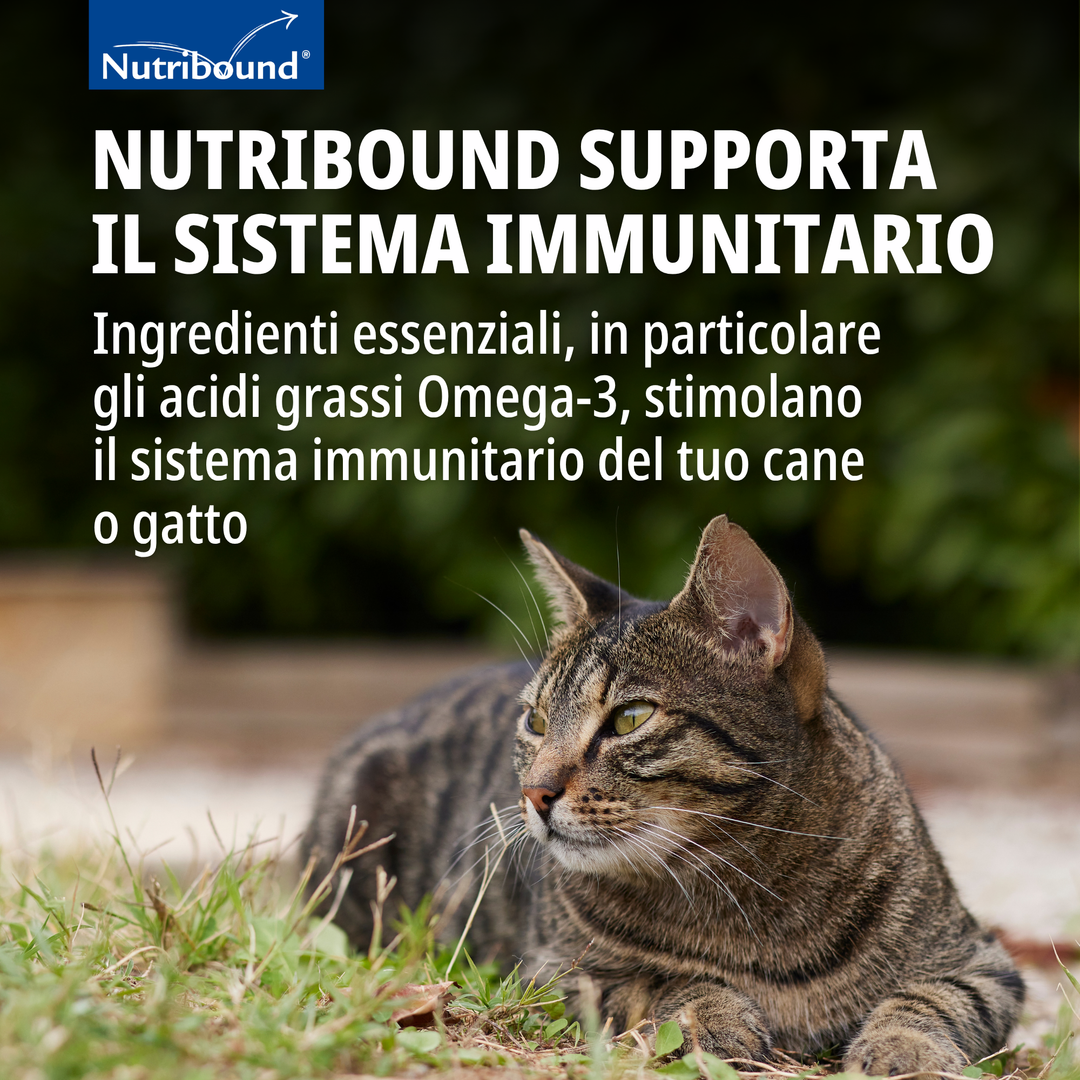 NUTRIBOUND GATTO – Per gatti in stato di convalescenza