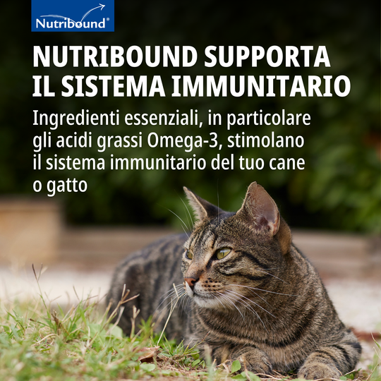 NUTRIBOUND GATTO – Per gatti in stato di convalescenza
