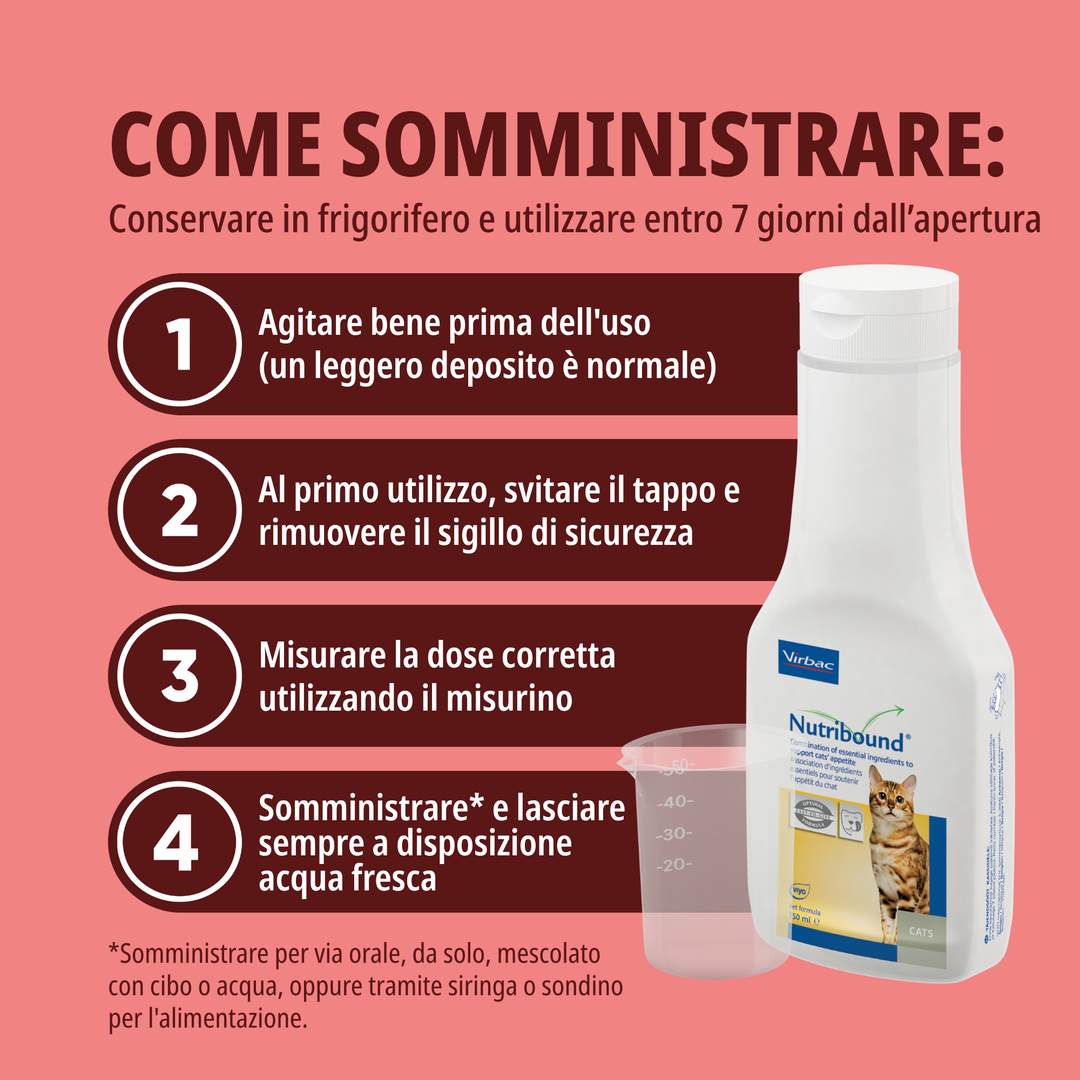 NUTRIBOUND GATTO – Per gatti in stato di convalescenza