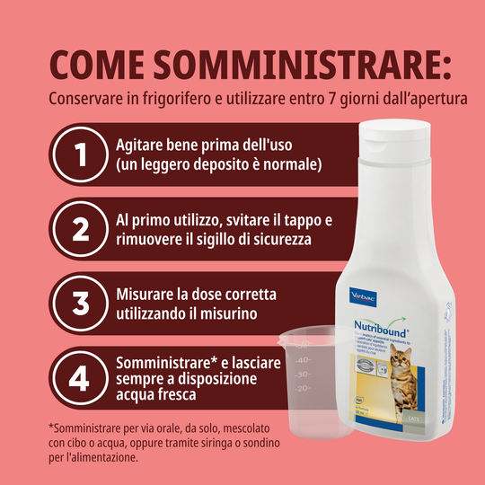 NUTRIBOUND GATTO – Per gatti in stato di convalescenza