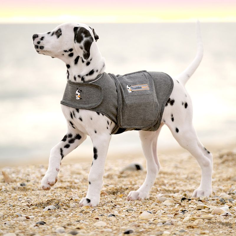 THUNDERSHIRT (S) - Gilet calmante per cani