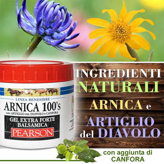ARNICA 100&