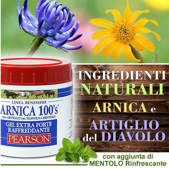 ARNICA 100&