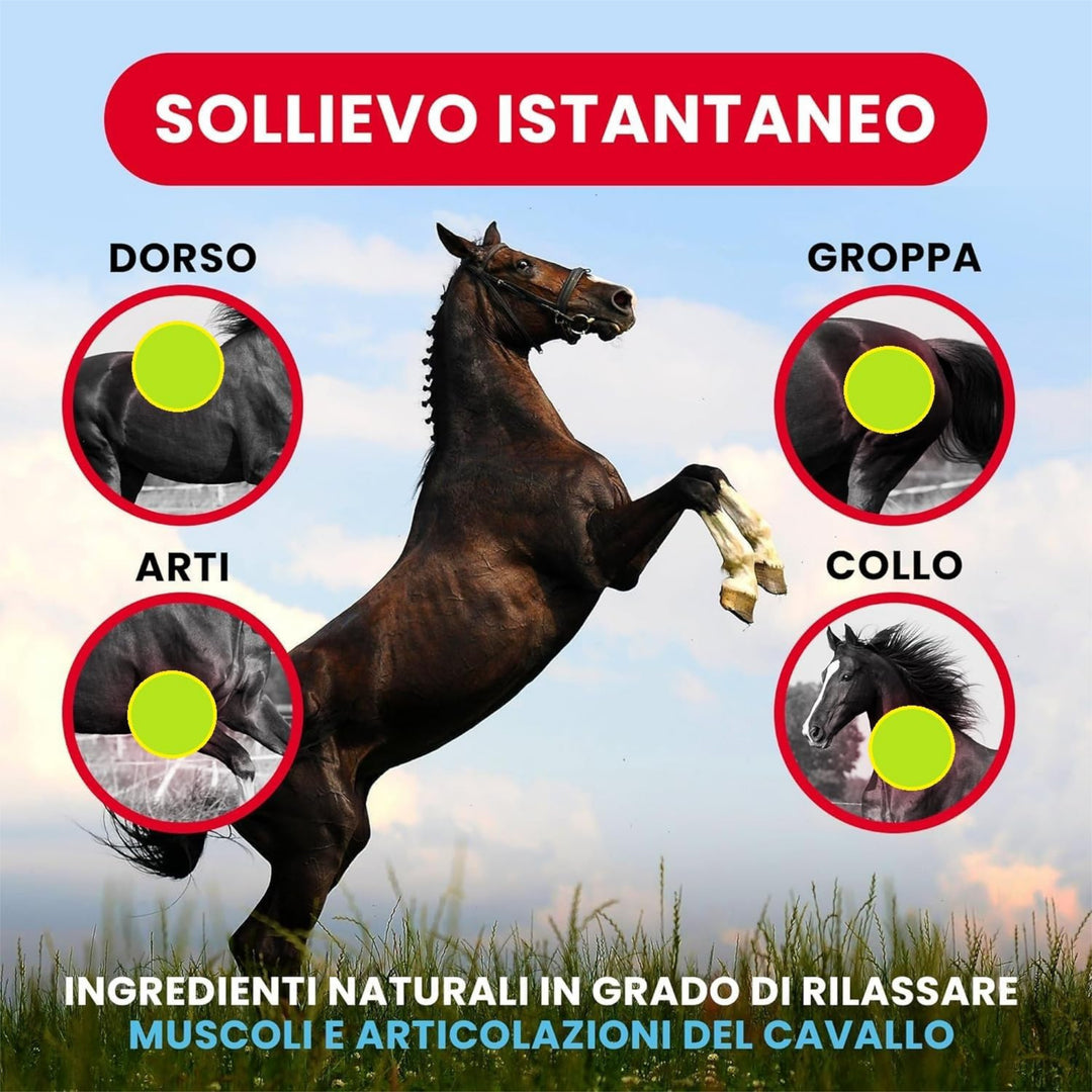 ARNICA 100&