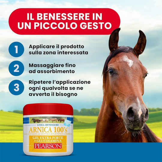 ARNICA 100&